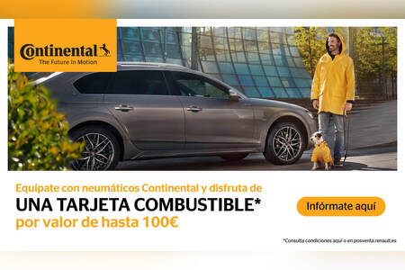 Neumáticos Continental 